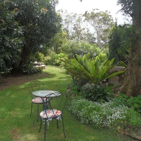 Moonya Avocado Farm Cottage - With Early Check-In Mount Tamborine Eksteriør bilde