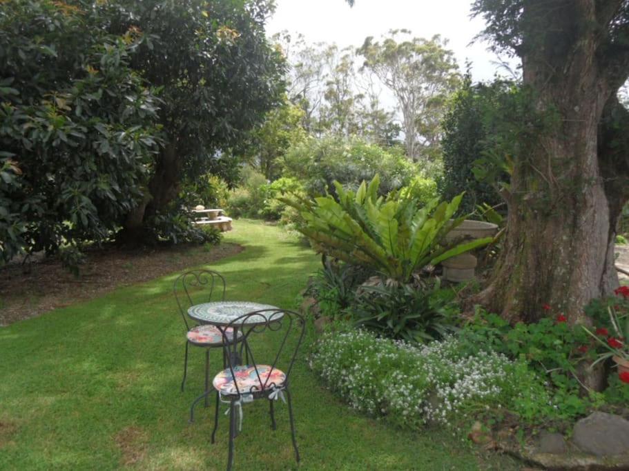 Moonya Avocado Farm Cottage - With Early Check-In Mount Tamborine Eksteriør bilde